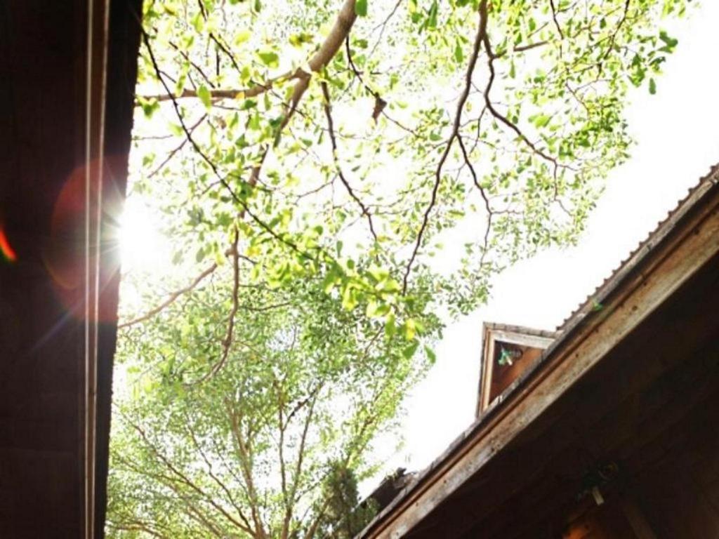 Loghome Boutique Chiang Mai Zewnętrze zdjęcie
